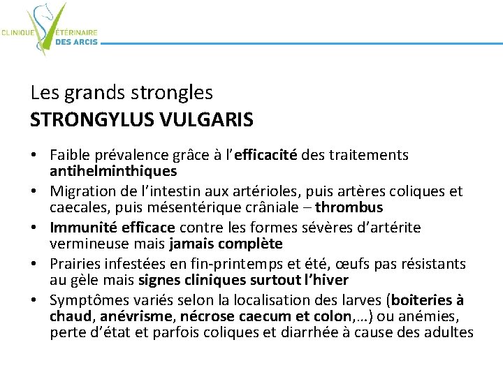 Les grands strongles STRONGYLUS VULGARIS • Faible prévalence grâce à l’efficacité des traitements antihelminthiques