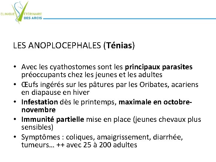 LES ANOPLOCEPHALES (Ténias) • Avec les cyathostomes sont les principaux parasites préoccupants chez les