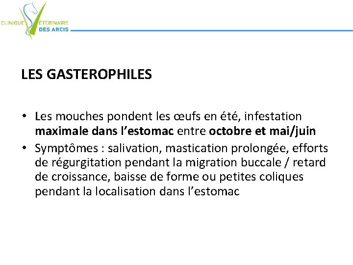 LES GASTEROPHILES • Les mouches pondent les œufs en été, infestation maximale dans l’estomac