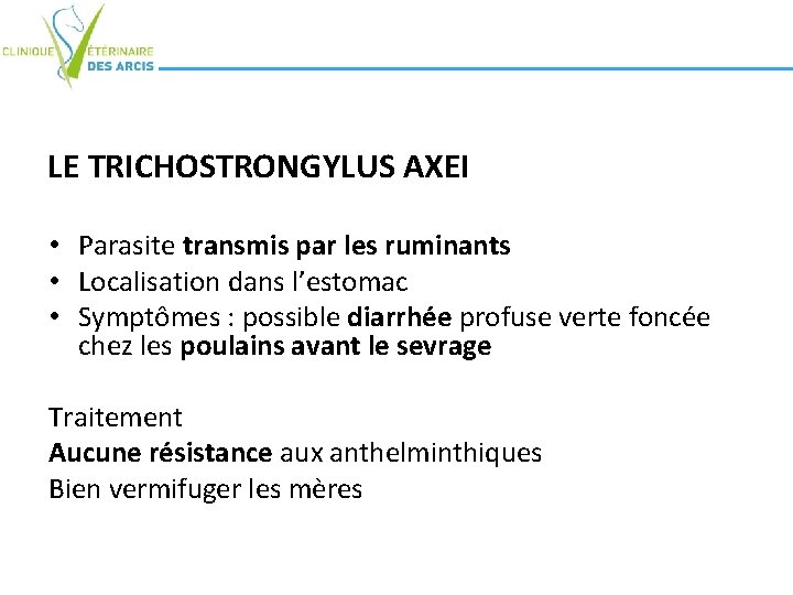 LE TRICHOSTRONGYLUS AXEI • Parasite transmis par les ruminants • Localisation dans l’estomac •