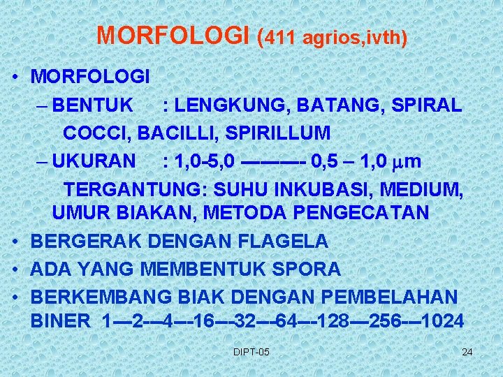 MORFOLOGI (411 agrios, ivth) • MORFOLOGI – BENTUK : LENGKUNG, BATANG, SPIRAL COCCI, BACILLI,