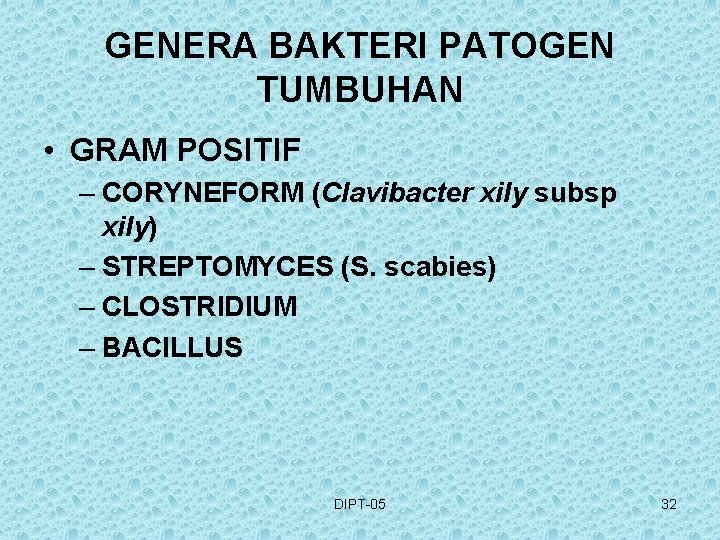 GENERA BAKTERI PATOGEN TUMBUHAN • GRAM POSITIF – CORYNEFORM (Clavibacter xily subsp xily) –