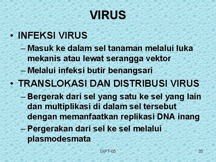 VIRUS • INFEKSI VIRUS – Masuk ke dalam sel tanaman melalui luka mekanis atau