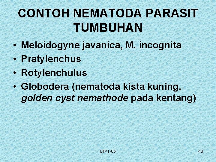 CONTOH NEMATODA PARASIT TUMBUHAN • • Meloidogyne javanica, M. incognita Pratylenchus Rotylenchulus Globodera (nematoda