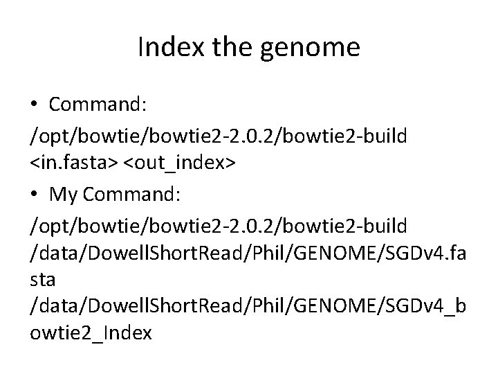 Index the genome • Command: /opt/bowtie 2 -2. 0. 2/bowtie 2 -build <in. fasta>