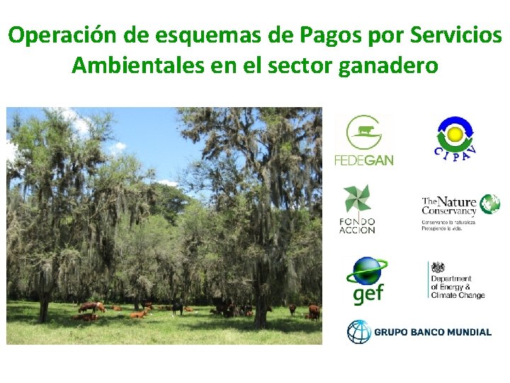 Operación de esquemas de Pagos por Servicios Ambientales en el sector ganadero 