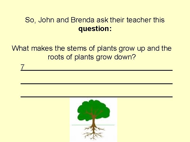 So, John and Brenda ask their teacher this question: What makes the stems of So, John and Brenda ask their teacher this question: What makes the stems of