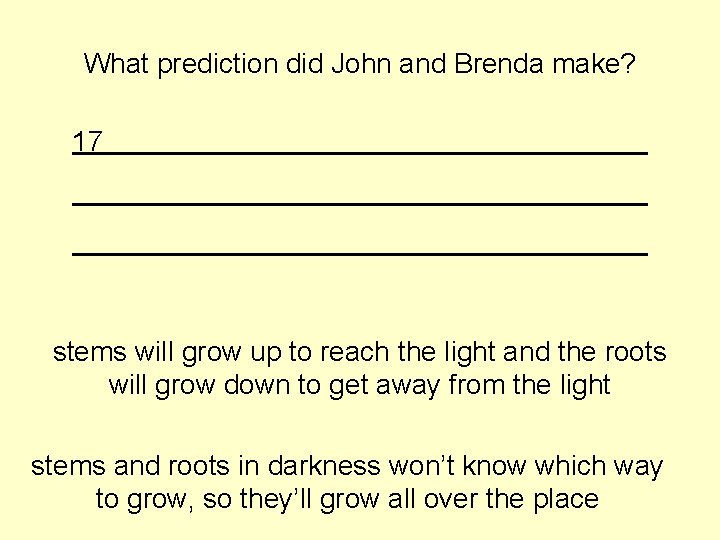 What prediction did John and Brenda make? 17 stems will grow up to reach