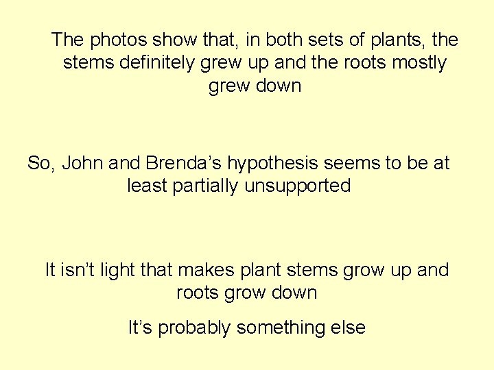 The photos show that, in both sets of plants, the stems definitely grew up