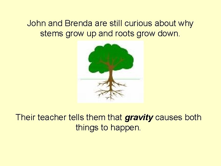 John and Brenda are still curious about why stems grow up and roots grow