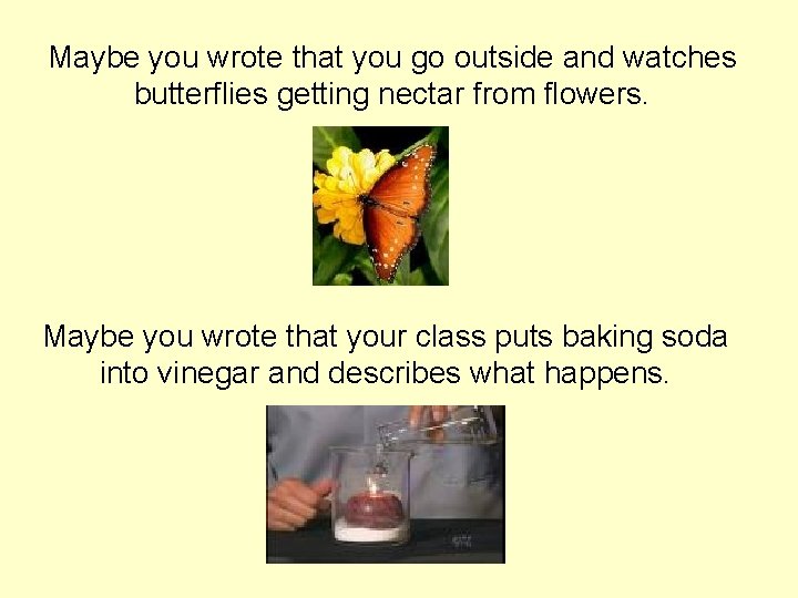 Maybe you wrote that you go outside and watches butterflies getting nectar from flowers.