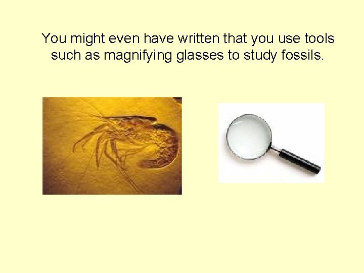 You might even have written that you use tools such as magnifying glasses to You might even have written that you use tools such as magnifying glasses to