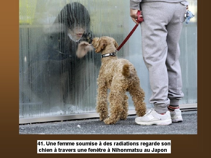 41. Une femme soumise à des radiations regarde son chien à travers une fenêtre