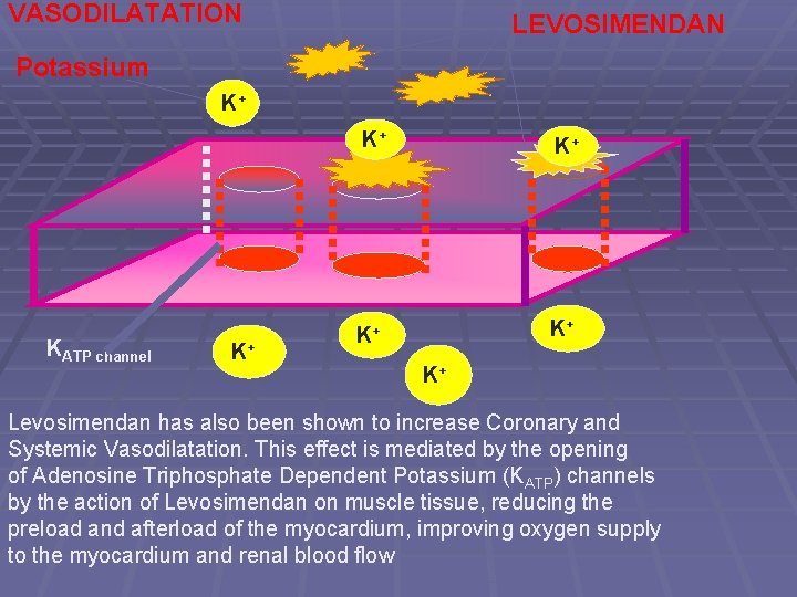 VASODILATATION LEVOSIMENDAN Potassium K+ KATP channel K+ K+ K+ Levosimendan has also been shown