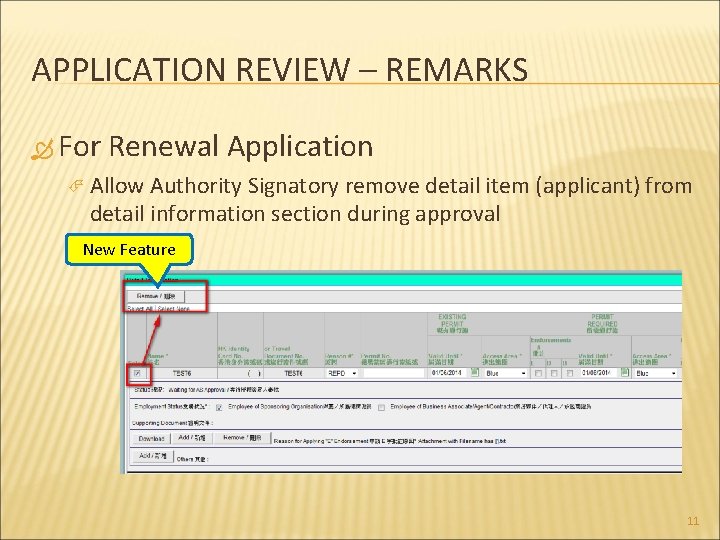 APPLICATION REVIEW – REMARKS For Renewal Application Allow Authority Signatory remove detail item (applicant)