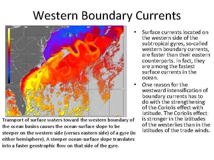 Western Boundary Currents • Surface currents located on the western side of the subtropical