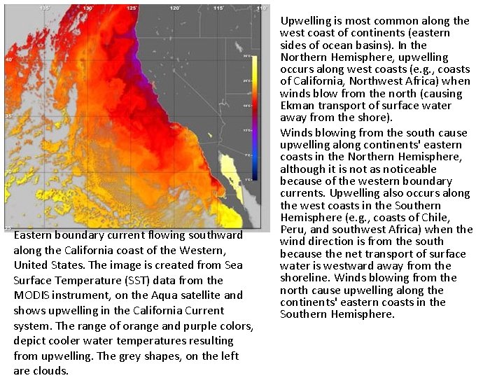  • • Eastern boundary current flowing southward along the California coast of the