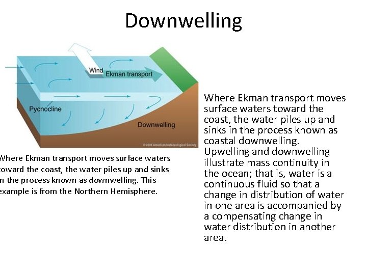 Downwelling Where Ekman transport moves surface waters toward the coast, the water piles up