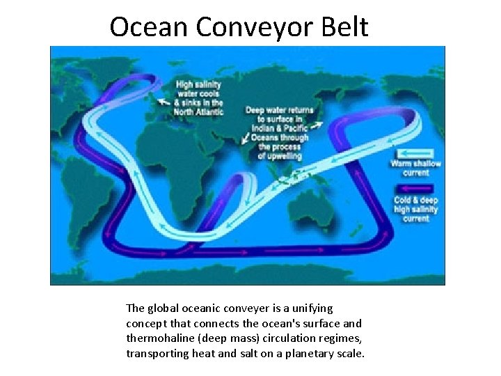 Ocean Conveyor Belt The global oceanic conveyer is a unifying concept that connects the