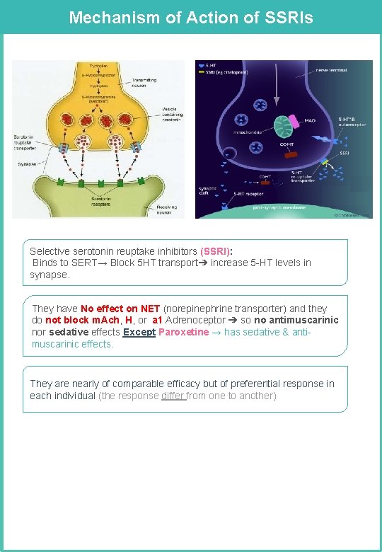 Mechanism of Action of SSRIs Selective serotonin reuptake inhibitors (SSRI): Binds to SERT→ Block