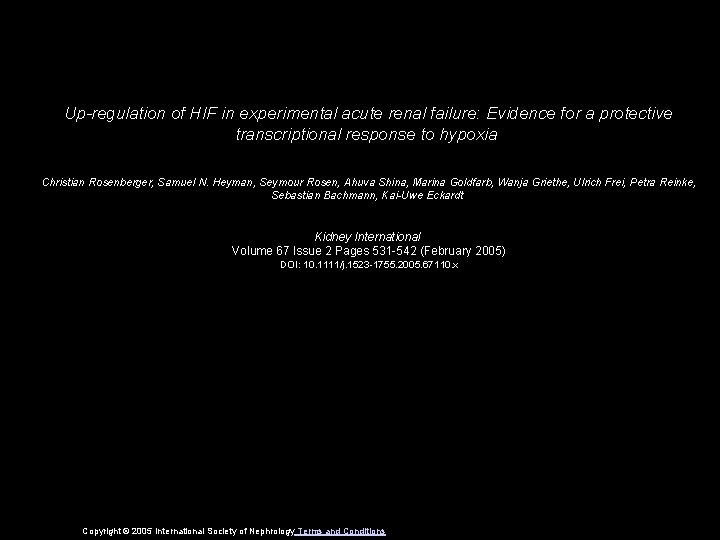 Up-regulation of HIF in experimental acute renal failure: Evidence for a protective transcriptional response