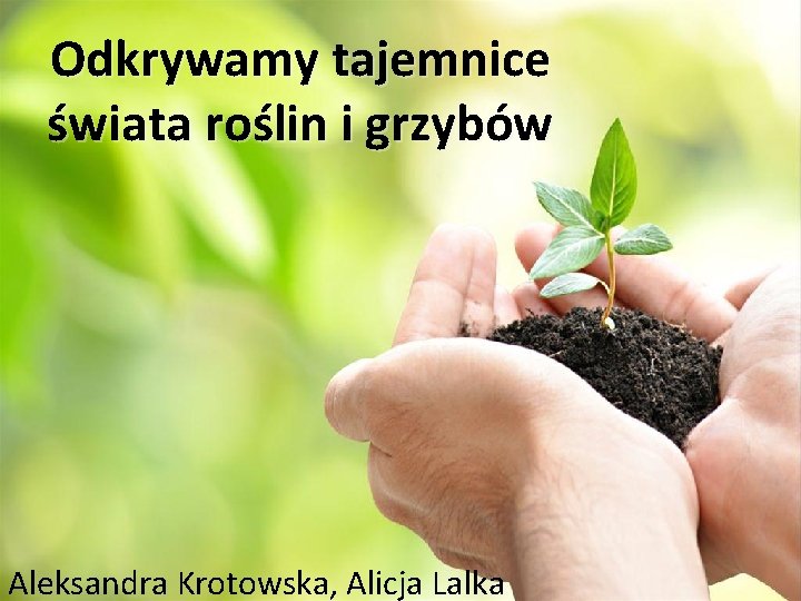 Odkrywamy tajemnice świata roślin i grzybów Aleksandra Krotowska, Alicja Lalka 