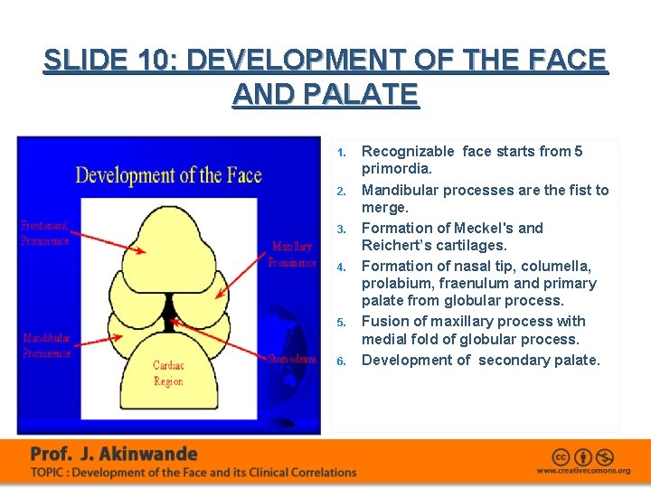 SLIDE 10: DEVELOPMENT OF THE FACE AND PALATE 1. 2. 3. 4. 5. 6.