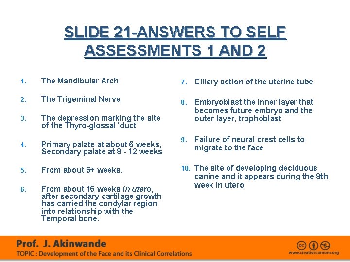 SLIDE 21 -ANSWERS TO SELF ASSESSMENTS 1 AND 2 1. The Mandibular Arch 7.
