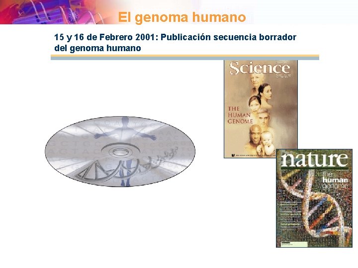 El genoma humano 15 y 16 de Febrero 2001: Publicación secuencia borrador del genoma