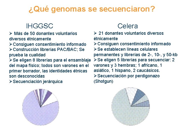 ¿Qué genomas se secuenciaron? IHGGSC Ø Más de 50 donantes voluntarios diversos étnicamente ØConsiguen
