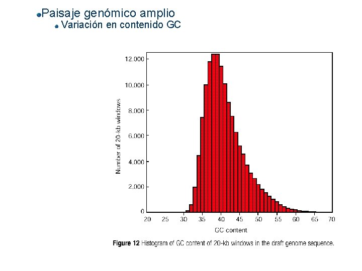 Paisaje genómico amplio Variación en contenido GC 