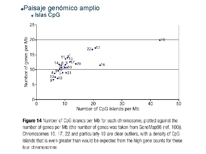 Paisaje genómico amplio Islas Cp. G 