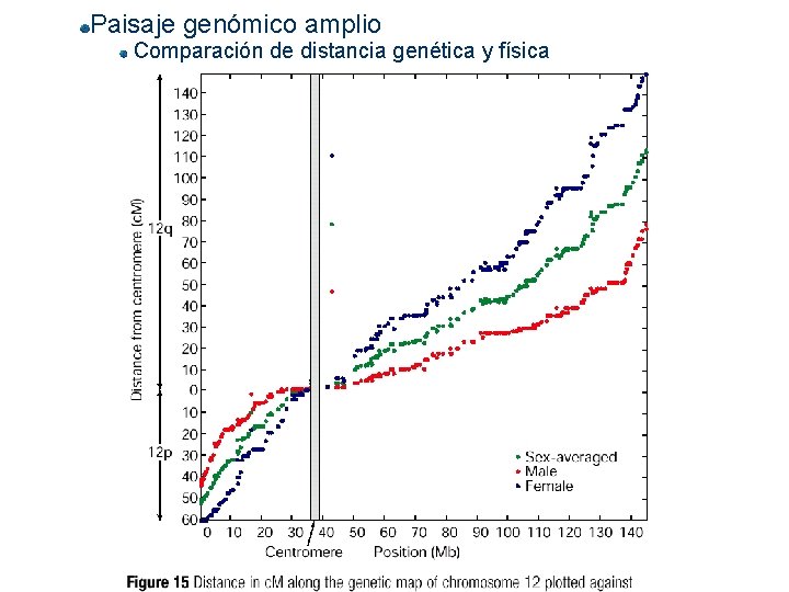 Paisaje genómico amplio Comparación de distancia genética y física 