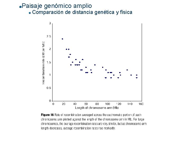 Paisaje genómico amplio Comparación de distancia genética y física 