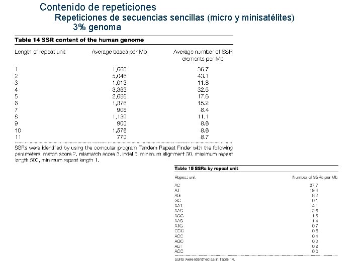  Contenido de repeticiones Repeticiones de secuencias sencillas (micro y minisatélites) 3% genoma 