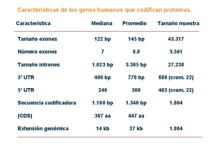 Características de los genes humanos que codifican proteínas. Característica Mediana Promedio Tamaño muestra Tamaño