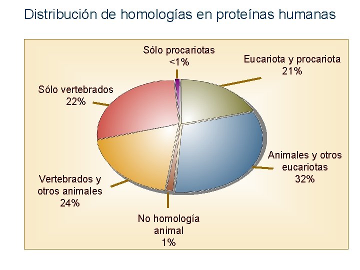 Distribución de homologías en proteínas humanas Sólo procariotas <1% Eucariota y procariota 21% Sólo