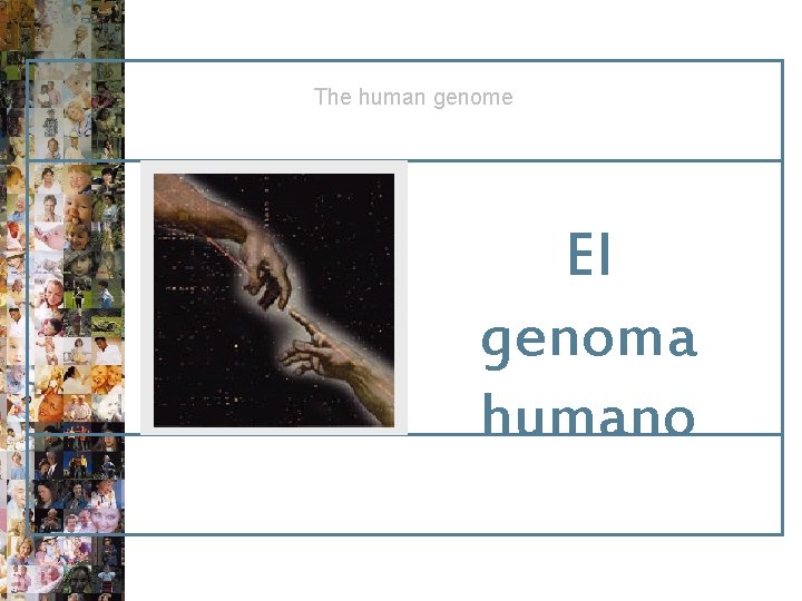 The human genome El genoma humano 