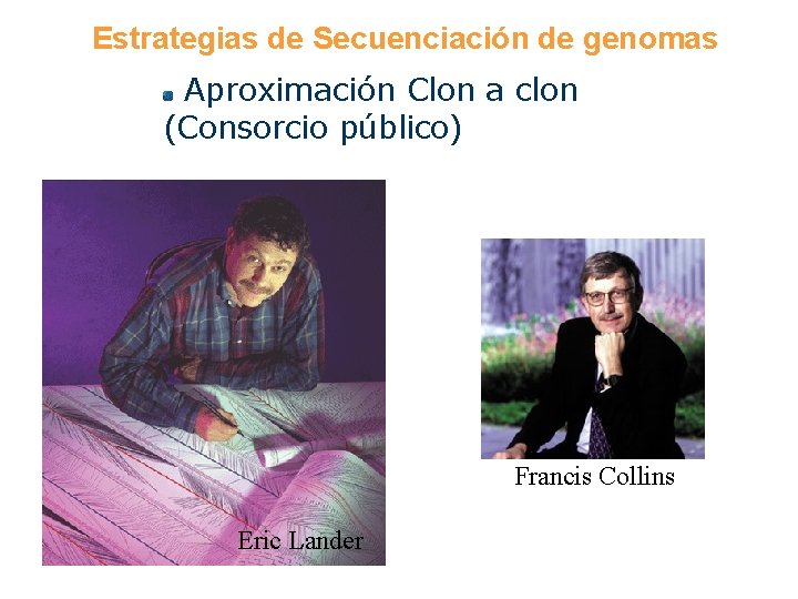 Estrategias de Secuenciación de genomas Aproximación Clon a clon (Consorcio público) Francis Collins Eric