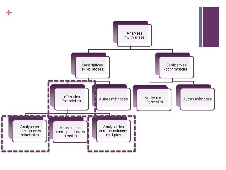 + Analyses multivariées Descriptives (exploratoires) Méthodes factorielles Analyse en composantes principales Analyse des correspondances