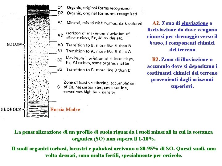 A 2. Zona di eluviazione o lisciviazione da dove vengono rimossi per drenaggio verso