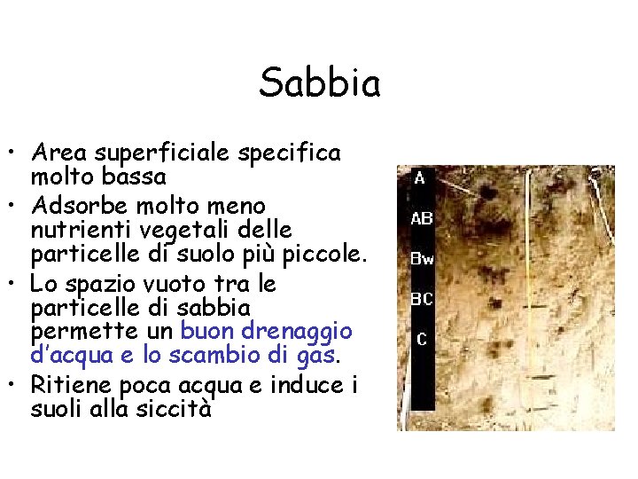 Sabbia • Area superficiale specifica molto bassa • Adsorbe molto meno nutrienti vegetali delle