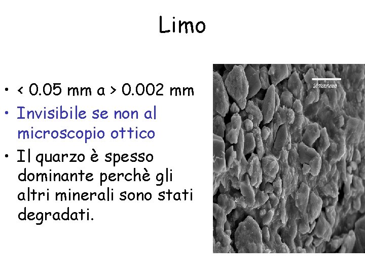 Limo • < 0. 05 mm a > 0. 002 mm • Invisibile se
