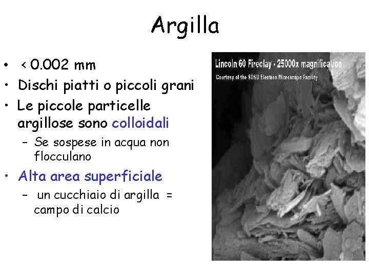 Argilla • < 0. 002 mm • Dischi piatti o piccoli grani • Le