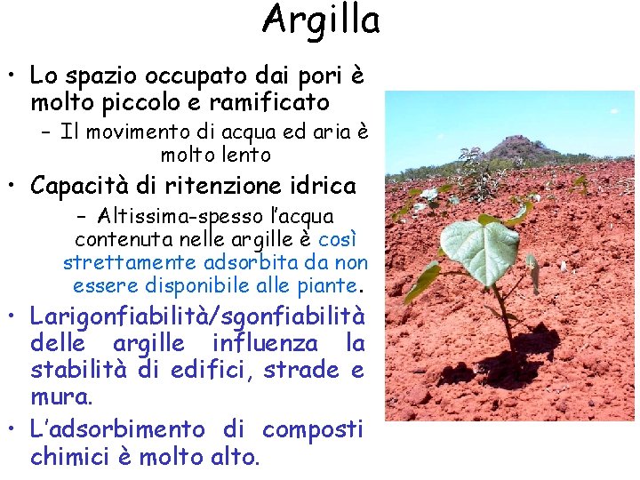 Argilla • Lo spazio occupato dai pori è molto piccolo e ramificato – Il