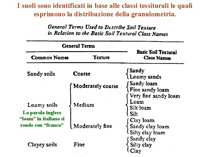 I suoli sono identificati in base alle classi tessiturali le quali esprimono la distribuzione