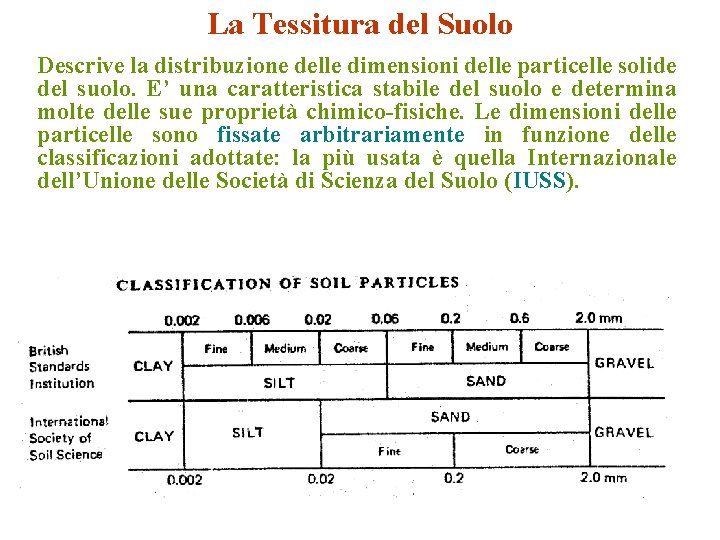 La Tessitura del Suolo Descrive la distribuzione delle dimensioni delle particelle solide del suolo.