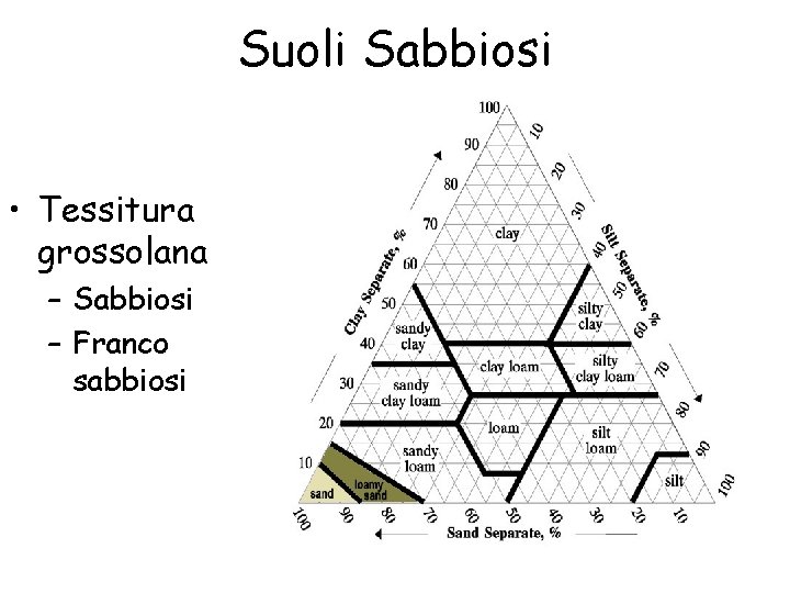 Suoli Sabbiosi • Tessitura grossolana – Sabbiosi – Franco sabbiosi 