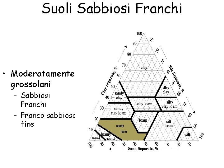 Suoli Sabbiosi Franchi • Moderatamente grossolani – Sabbiosi Franchi – Franco sabbioso fine 