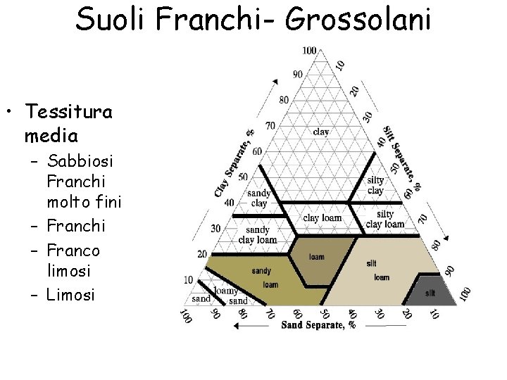 Suoli Franchi- Grossolani • Tessitura media – Sabbiosi Franchi molto fini – Franchi –
